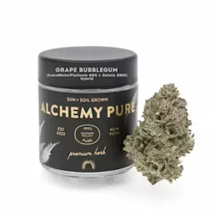 Alchemy Pure - Grape Bubblegum - Hash Coated Nugs - 3.5g