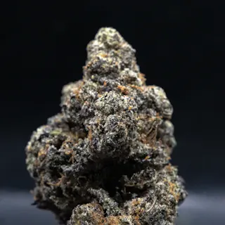 Milkweed - Gelato 41 (Indoor Hydroponics) - 3.5g