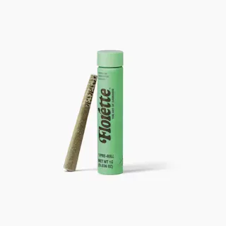 Florette - Lotta Lato - Preroll - 1g