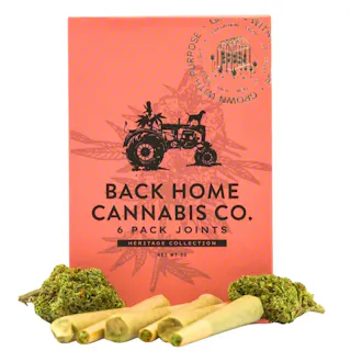 Back Home Cannabis Co - Panama Red - 6pk - .5g