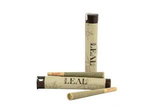 Leal - GMO - 1g