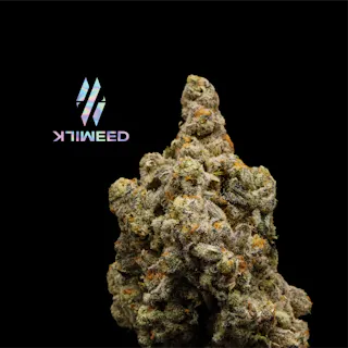 Milkweed - White Buffalo (Indoor Hydroponics) - 3.5g