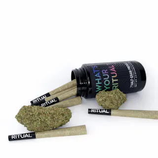 Ritual - Government Oasis - 7pk - .5g