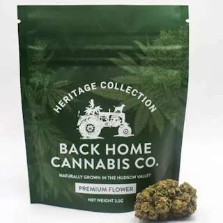 Back Home Cannabis Co - Pineapple Express - 3.5g