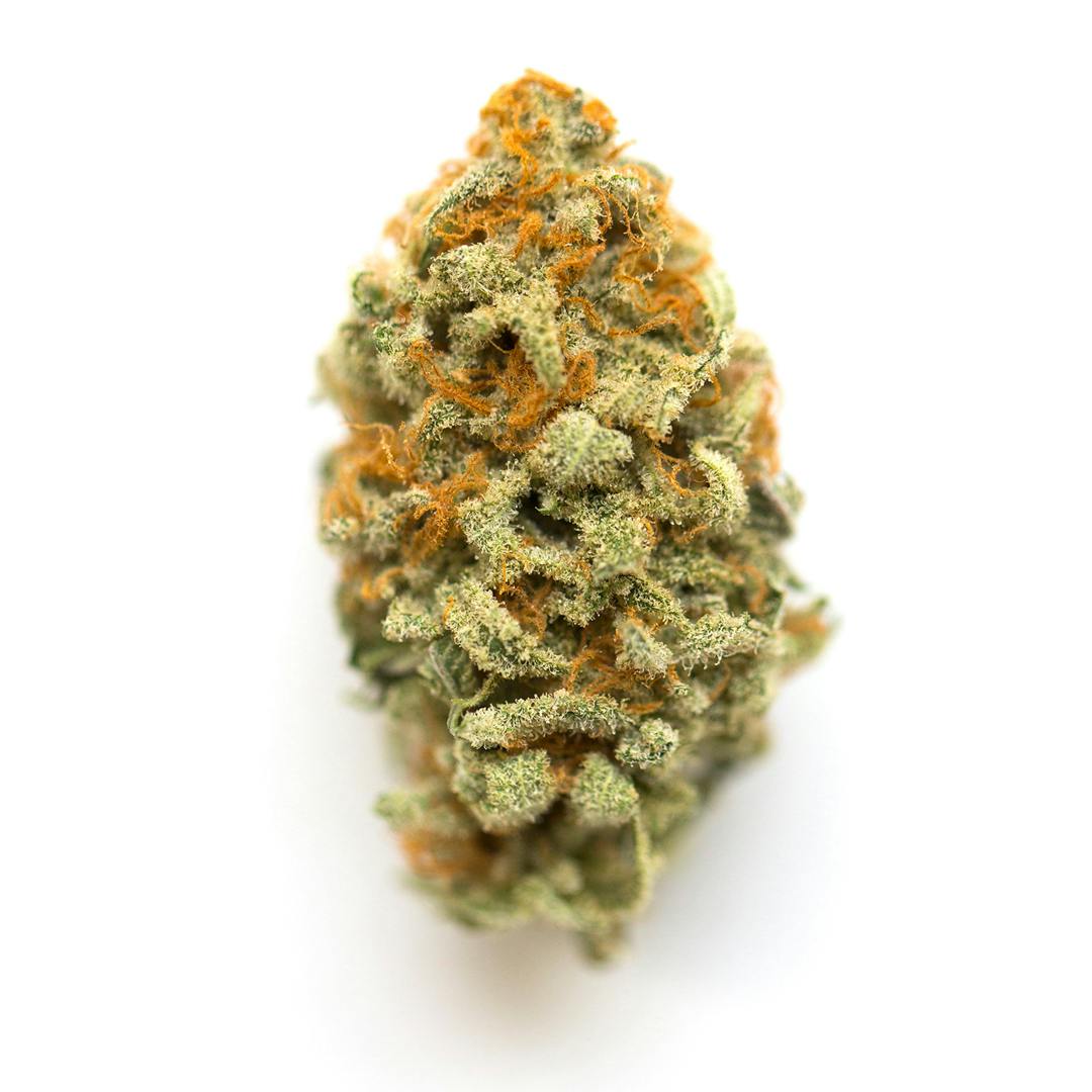 GMO 3.5G G5 - 3.5 G
