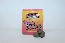 COCO MELONZ 3.5G I2 - 3.5 G