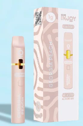 GEORGIA PEACH DISPOSABLE 1G D2 - 1 G