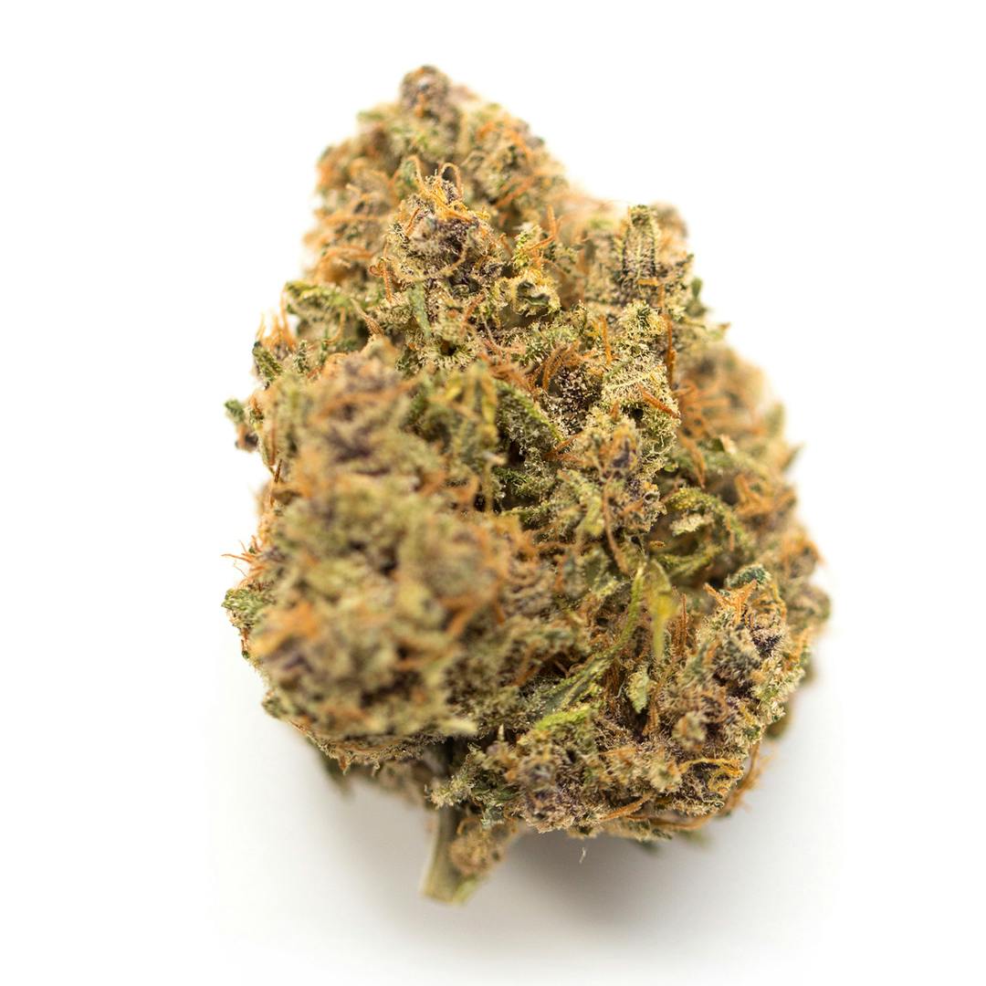 KING LOUIS 3.5G F2 - 3.5 G
