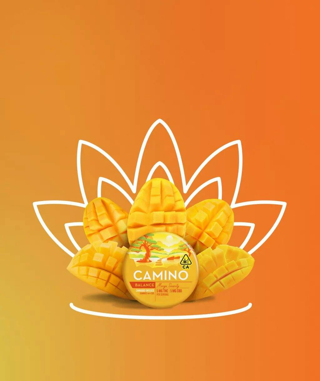 MANGO SERENITY BALANCE GUMMIES 1:1 A7