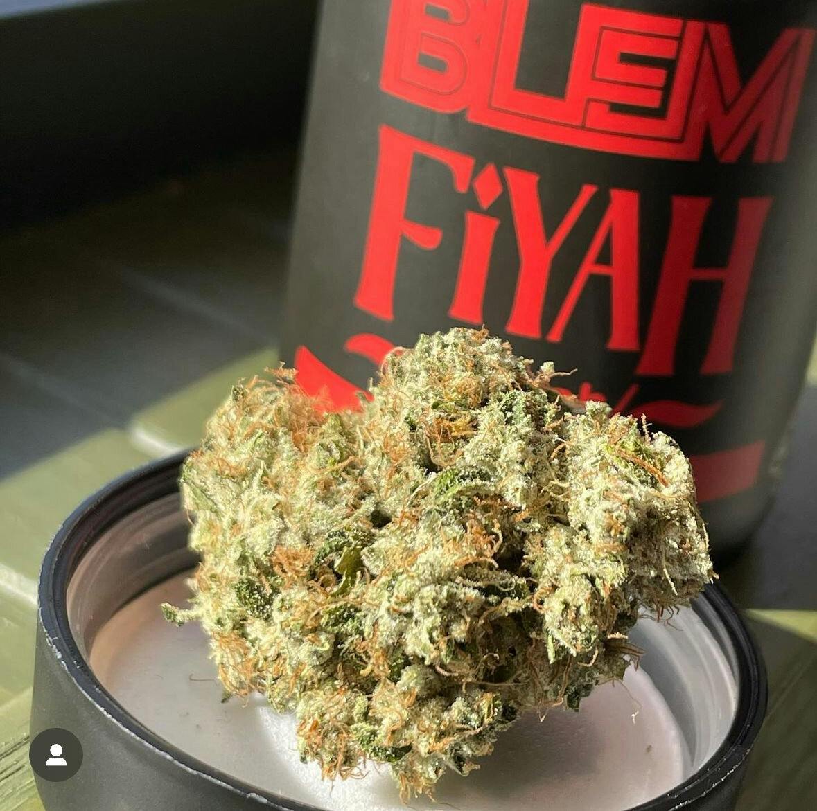 FIYAH SFV OG 1D - 3.5 G