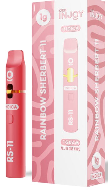 RAINBOW SHERBERT 11 DISPOSABLE 1G D2 - 1 G