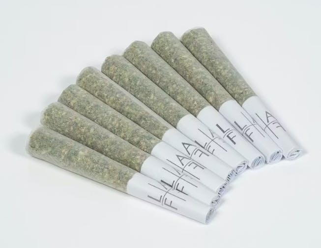 Pink Z Juniors 2pk Pre-roll F1 - 1 G