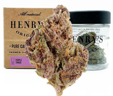Purple Tangie 3.5g 1d - 3.5 G