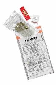 MANGO SHERBET 14G H5