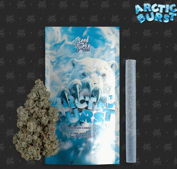 ARCTIC BURST PRE-ROLL 1G G2 - 1 G