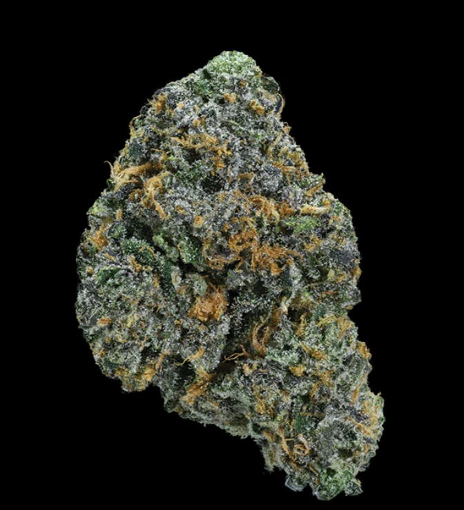 WHIPLASH 3.5G 1C - 3.5 G