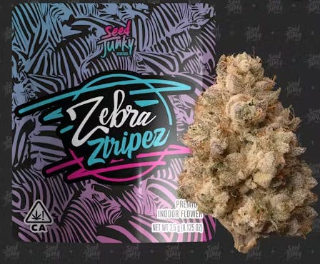 Zebra Ztripez 3.5g 1B - 3.5 G