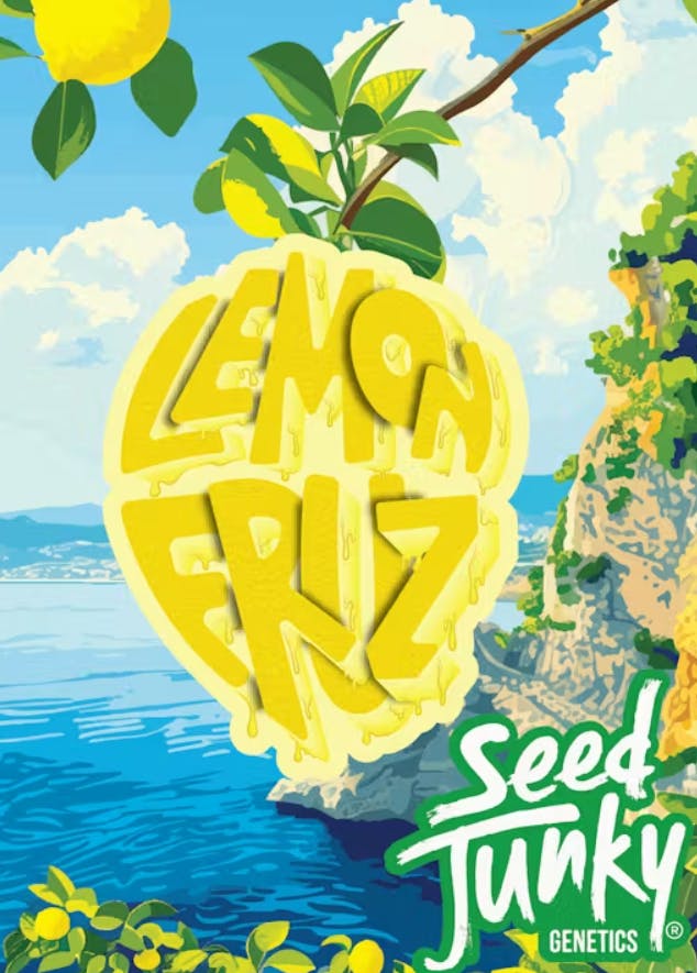Lemon Fruz 3.5g 1b - 3.5 G