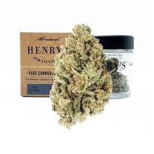 BLUE DREAM 3.5G I1 - 3.5 G