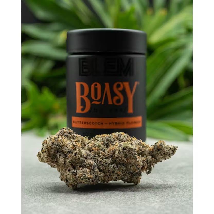 BOASY 3.5G O6 - 3.5 G