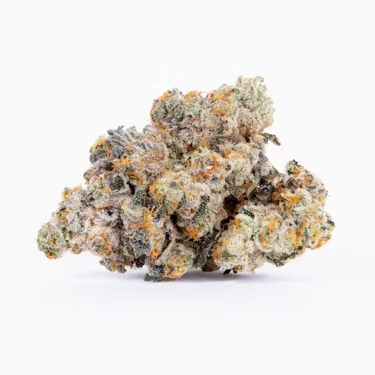 MULE FUEL 1G O4