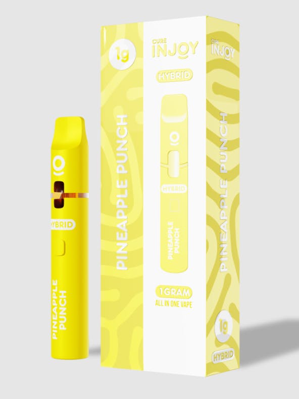PINEAPPLE PUNCH DISPOSABLE 1G D2 - 1 G