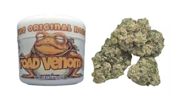 TOAD VENOM 3.5G H4 - 3.5 G