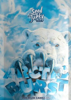 ARCTIC BURST 4PK PRE-ROLLS D3 - 4 G