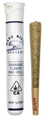 HASH INFUSED PIPE DREAM PRE-ROLL 1G E4 - 1 G