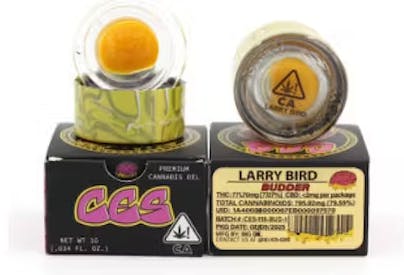 LARRY BIRD BUDDER 1G