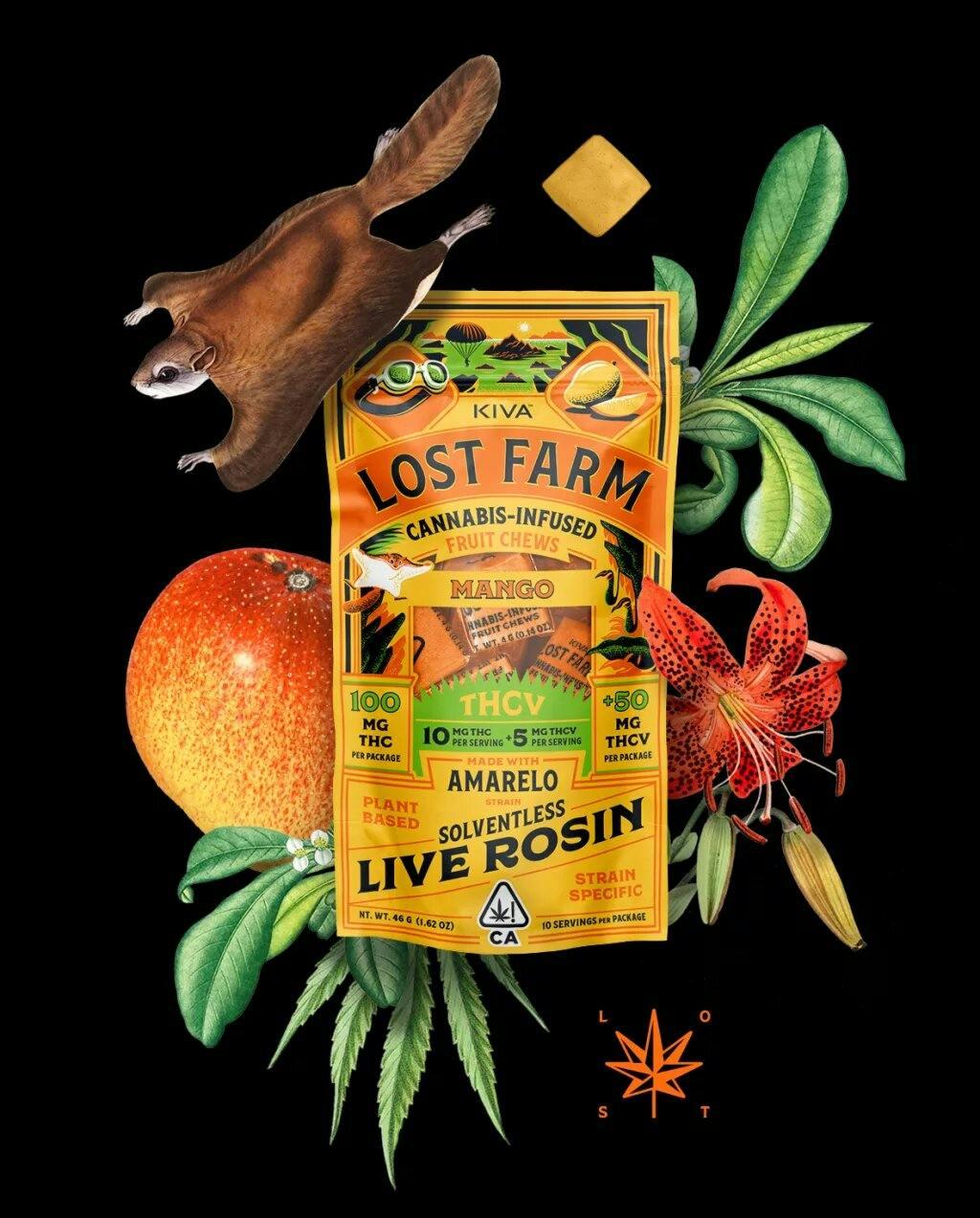 MANGO LIVE ROSIN THCV 10:5 FRUIT CHEWS B5