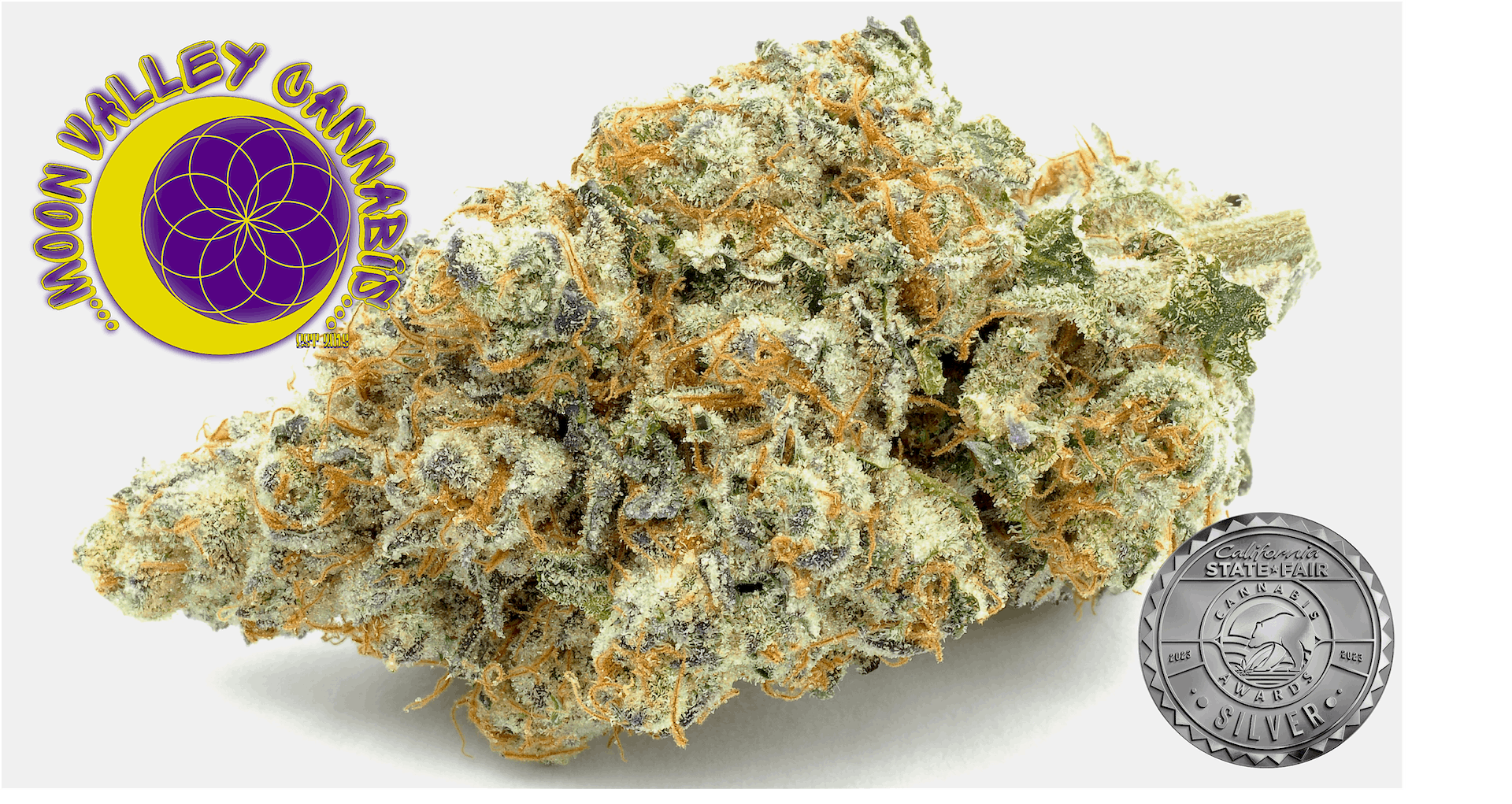 HASH BURGER 3.5G I2 - 3.5 G