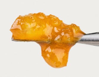 APPLE FRITTER #74 LIVE SAUCE 1G