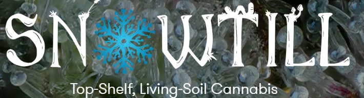 GOUDA 3.5G Q1 - 3.5 G