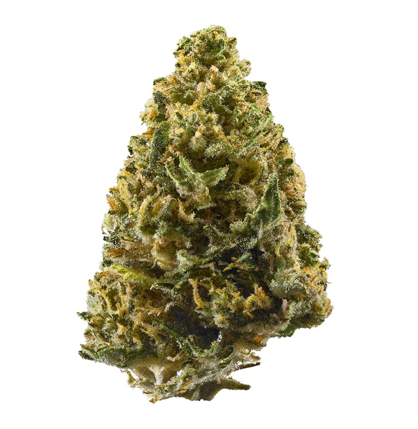 NORTHERN LIGHTS 3.5G L1 - 3.5 G