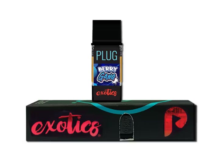 BERRY GANG STARTER PACK N2 - 1 G