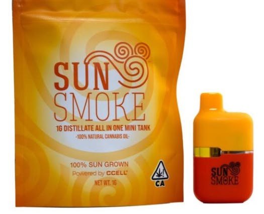 SKYWALKER DISPOSABLE 1G N6 - 1 G