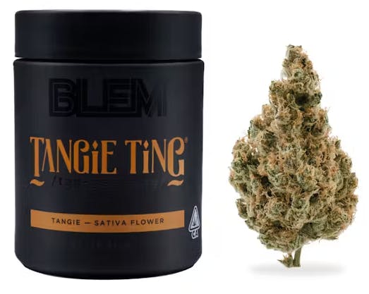 TANGIE TING 28G P2