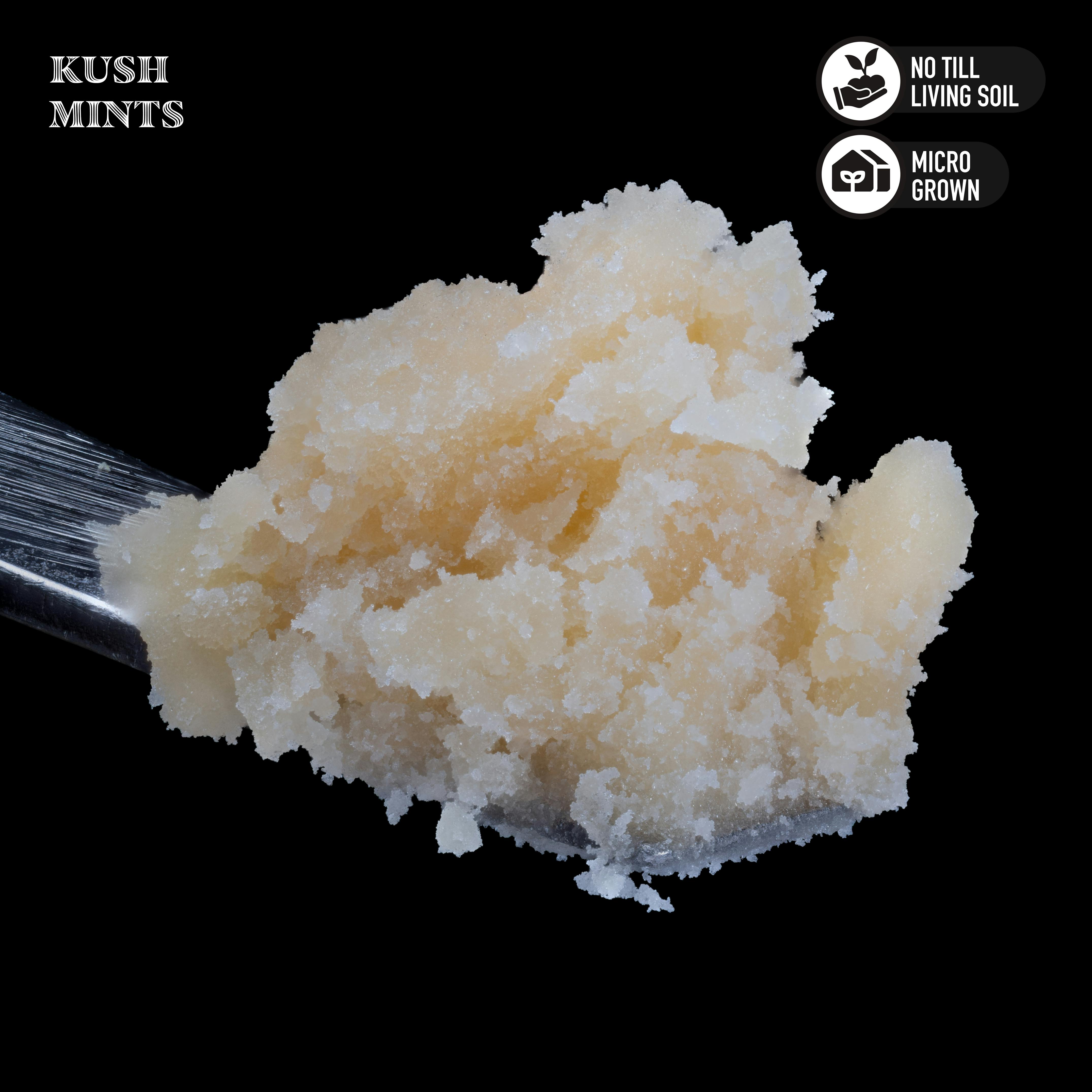 Royal Genetics | Kush Mints | Live Rosin | Sativa Hybrid | 1g