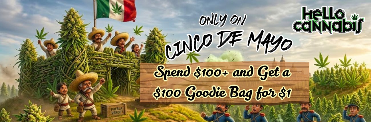 Cinco De Mayo goodie bag