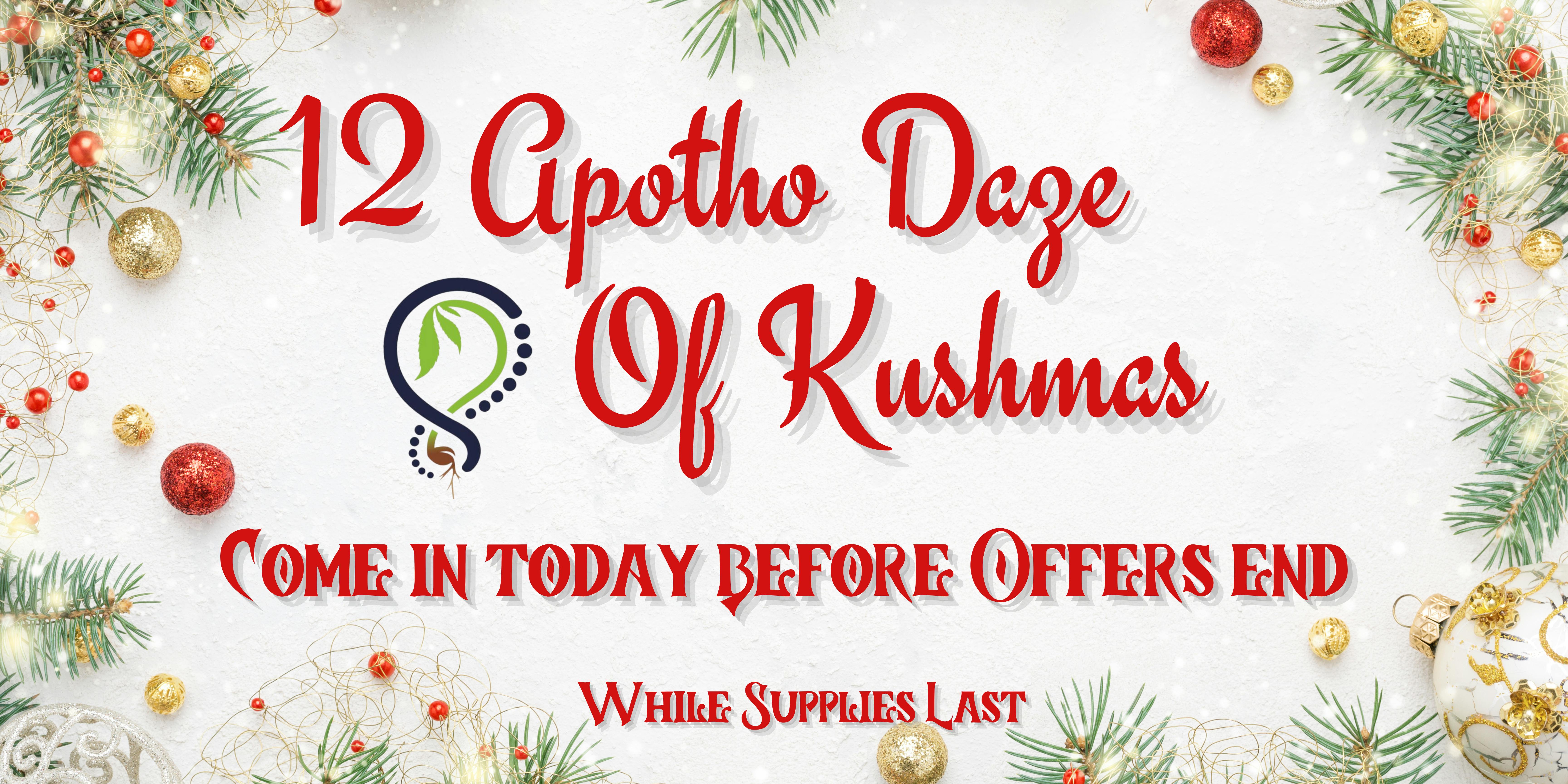 12 Apotho Daze of Kushmas- Plainville
