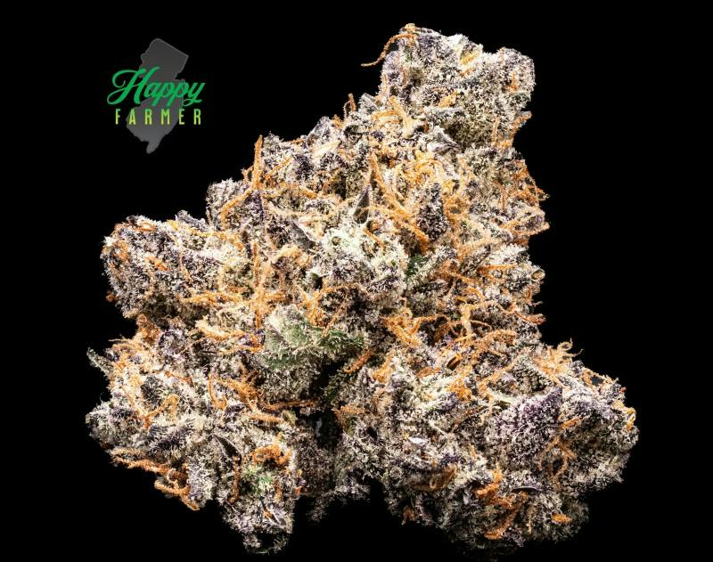 cfe5f6a8f1d10470_Candied-