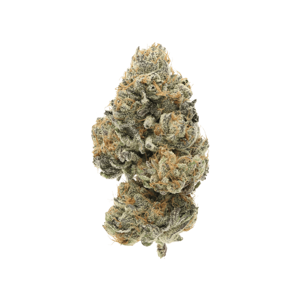 Cherry Zest #4 - 3.5g | Flower | 710 Labs | Molly Ann Farms (Rec