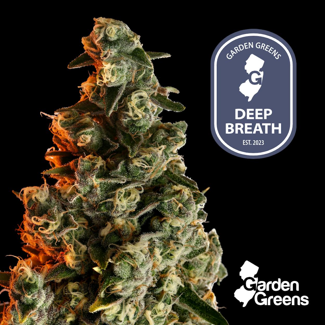 Deep Breath | 7g Big Bud - 7g | Flower | Garden Greens | Molly Ann
