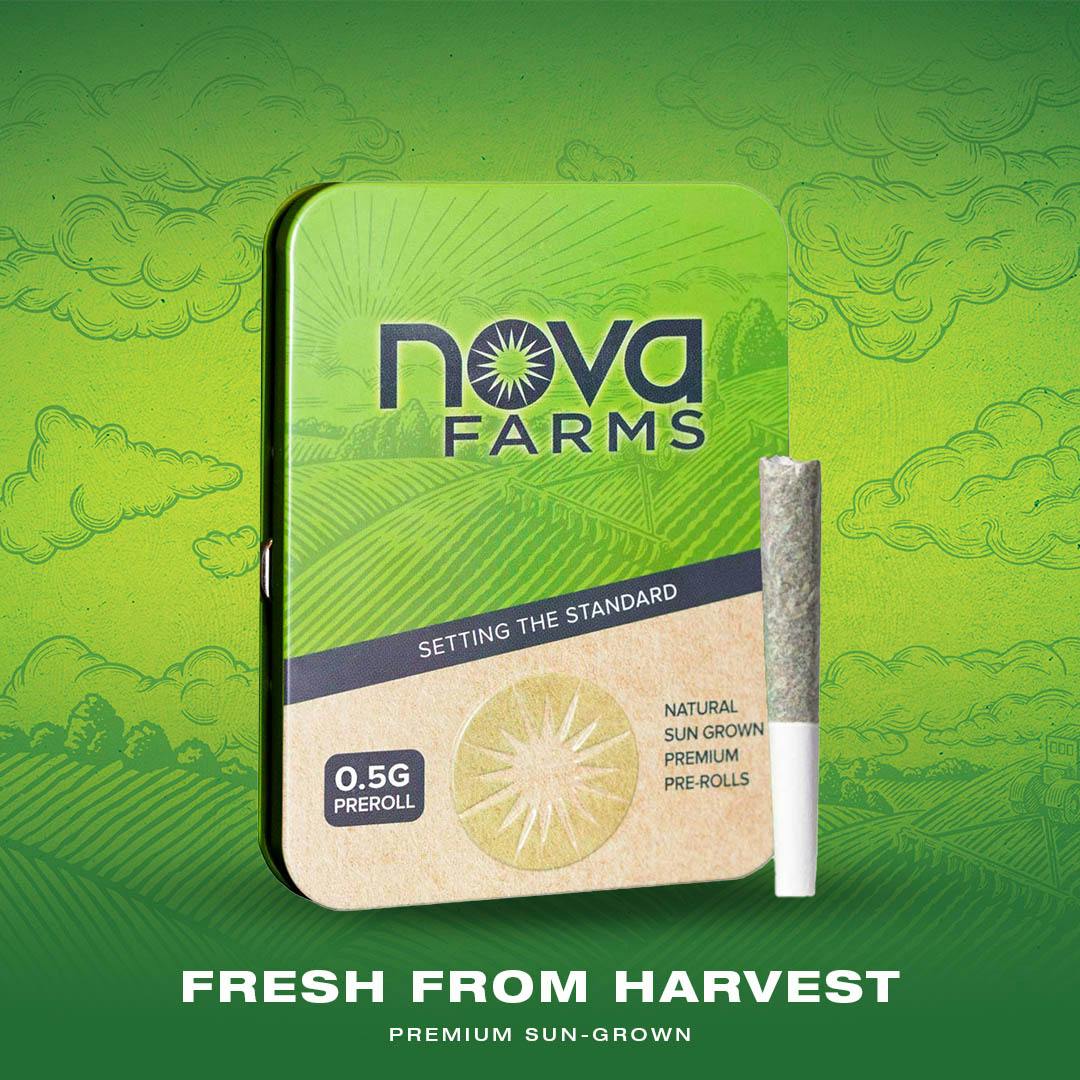 cfe5f6a8f1d10470_Nova_PreRoll_