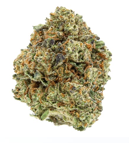 Slack Hollow | Poddy Mouth | Flower | IndHyb | 1g