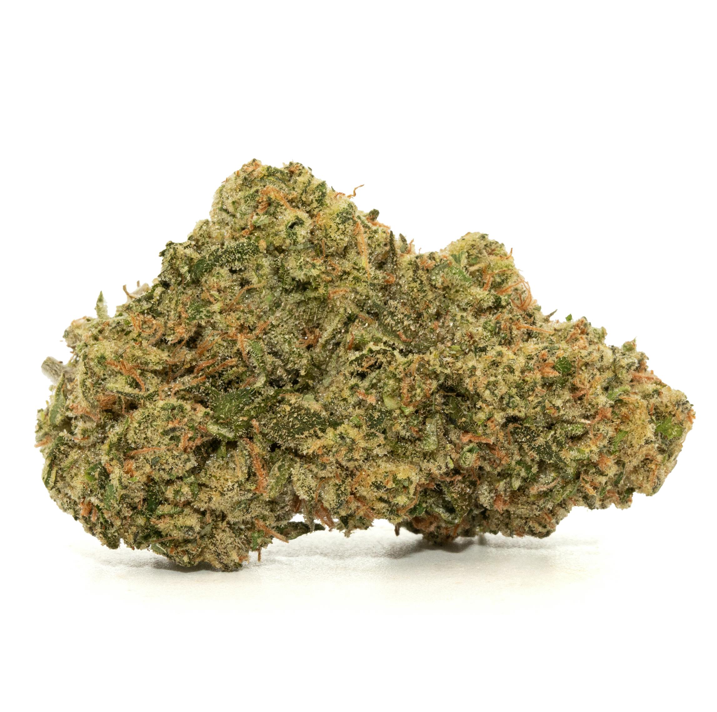 BANANA SMUGGLER [5G]