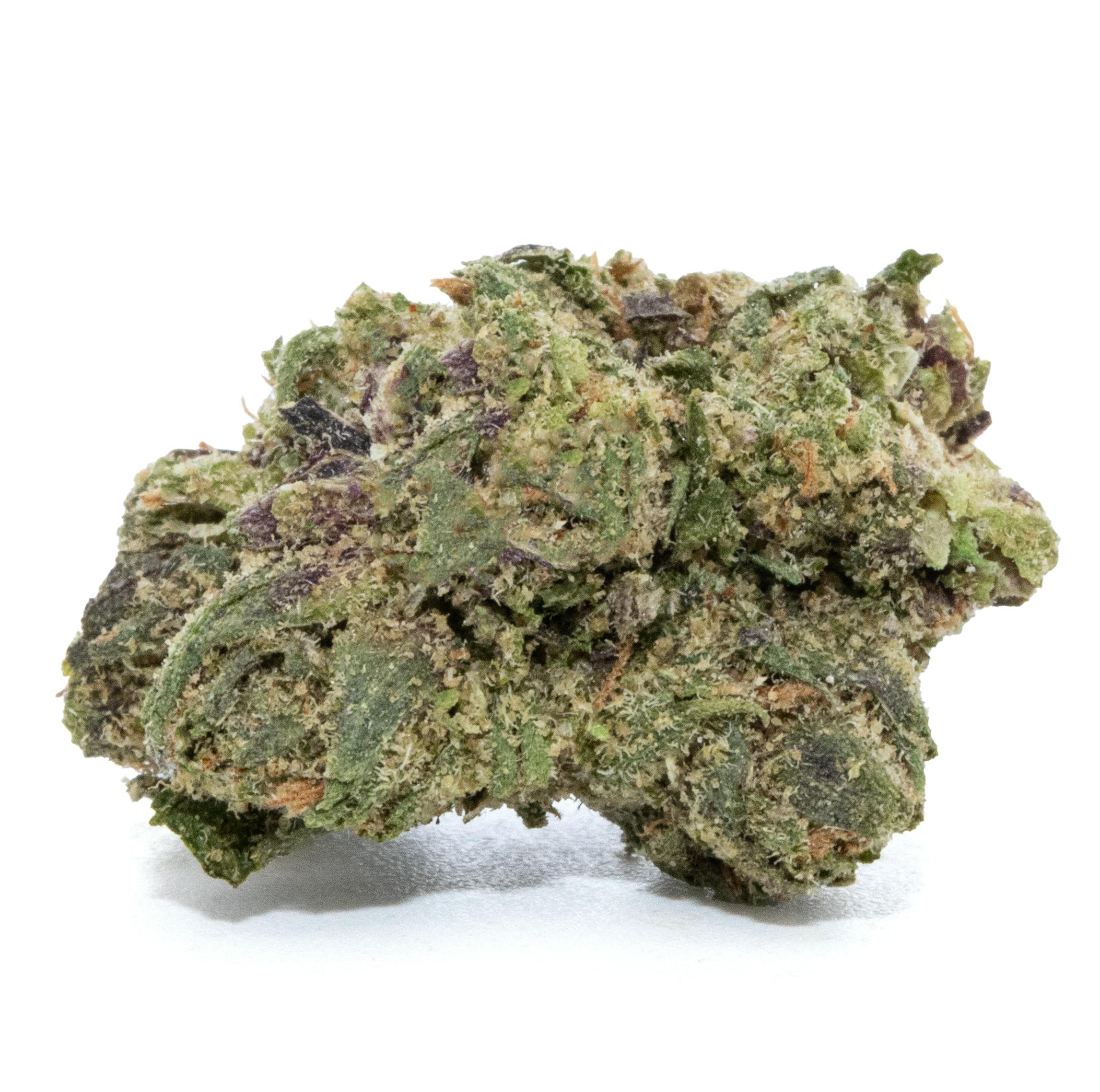 OMG POPCORN [14G]