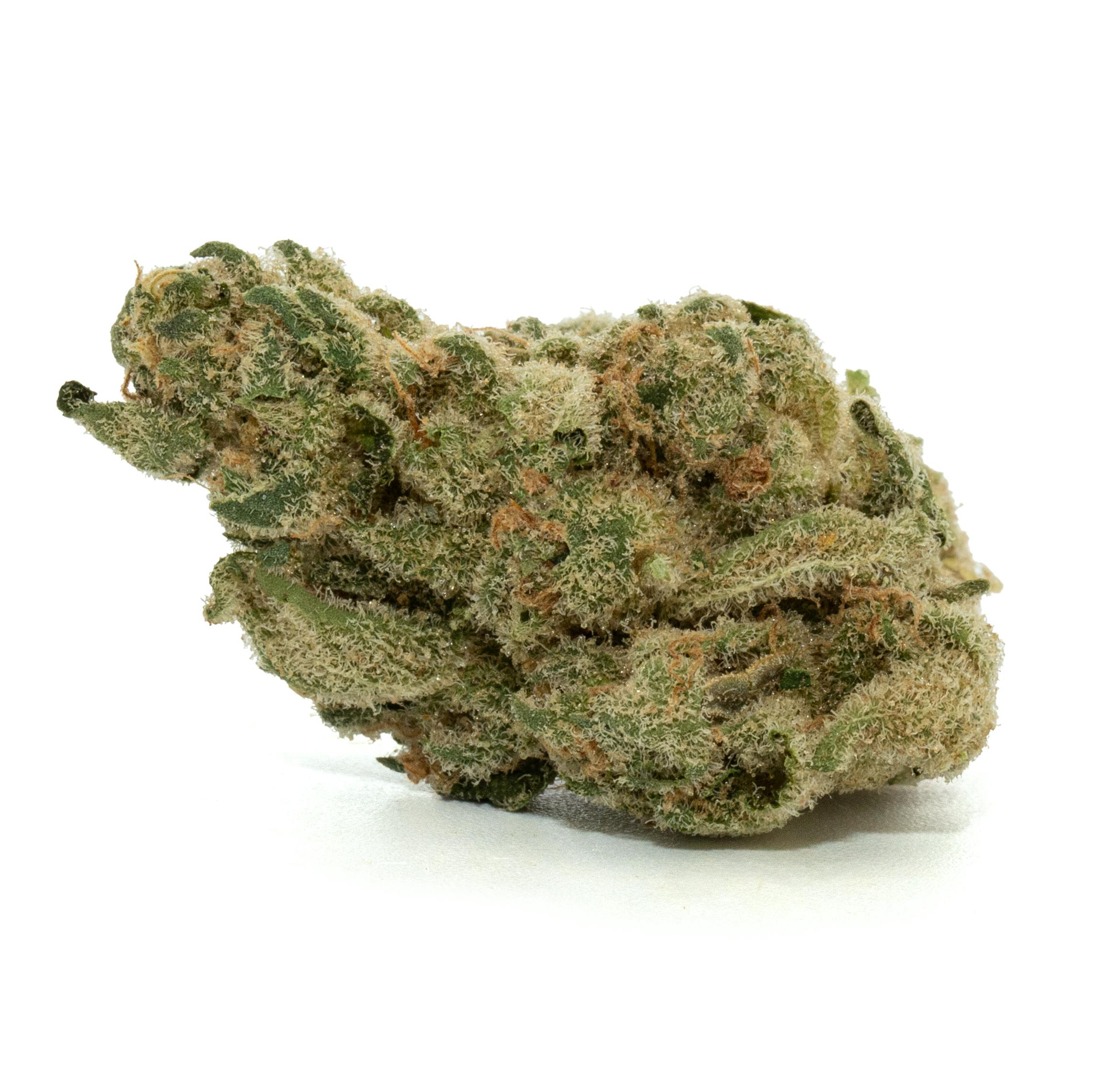 邦楽 DIRTY JOINT SMOKE WEED Smoke Weed : DIRTY JOINT | HMV&BOOKS online : Online