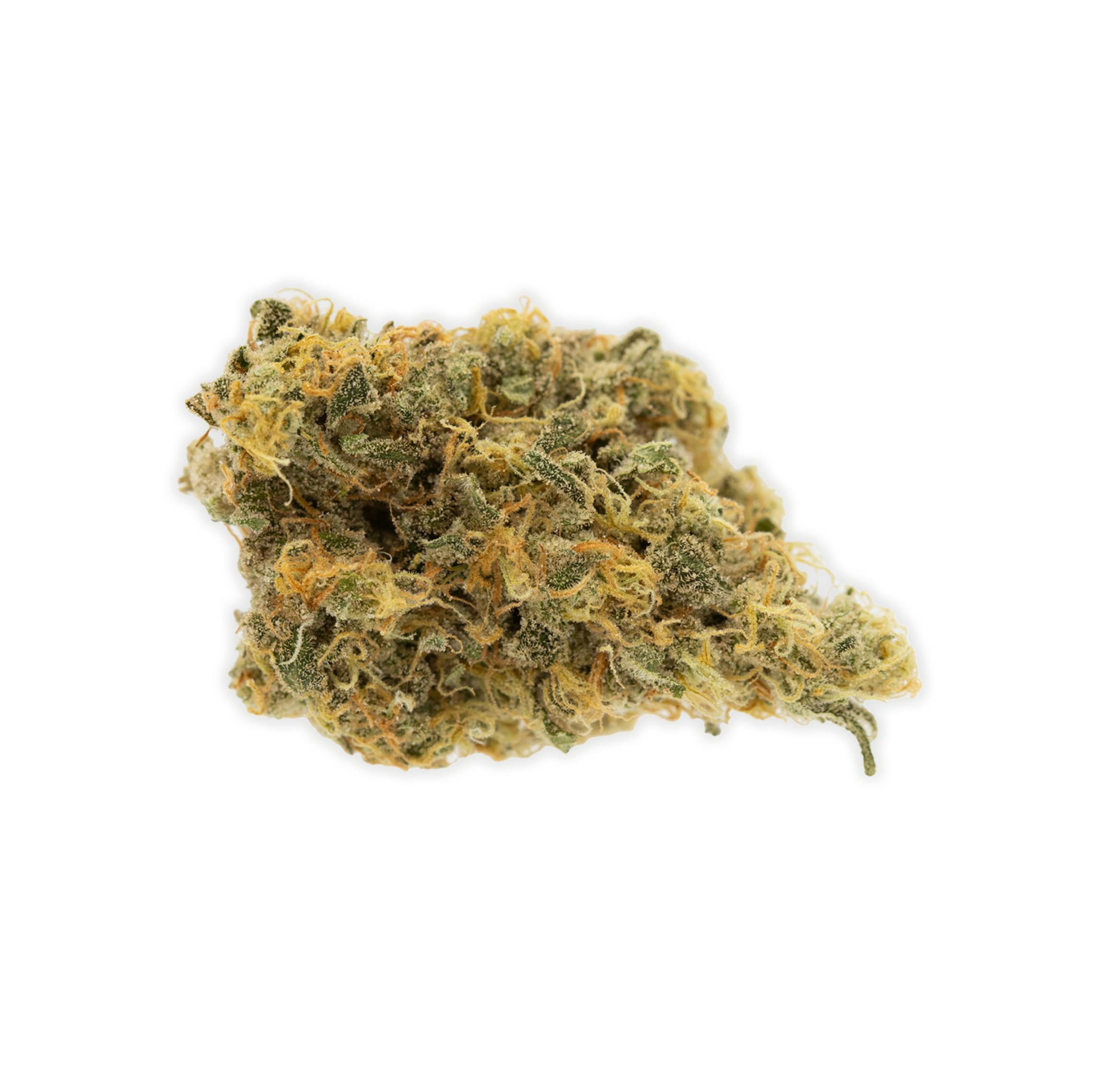 SUNSHINE DAYDREAM [3.5G]